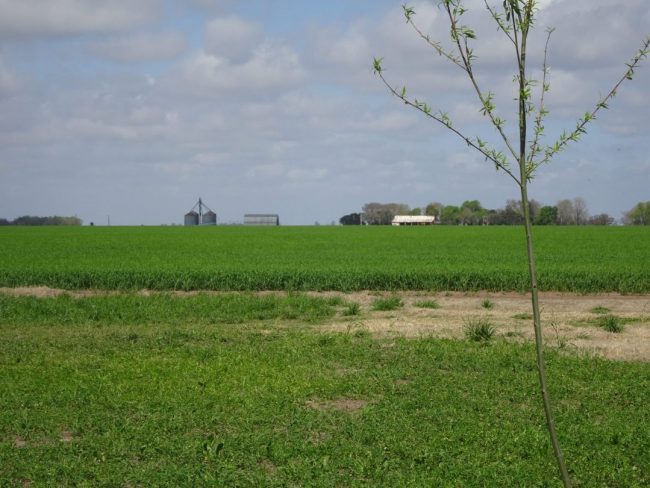 Cloudy skies on the farm