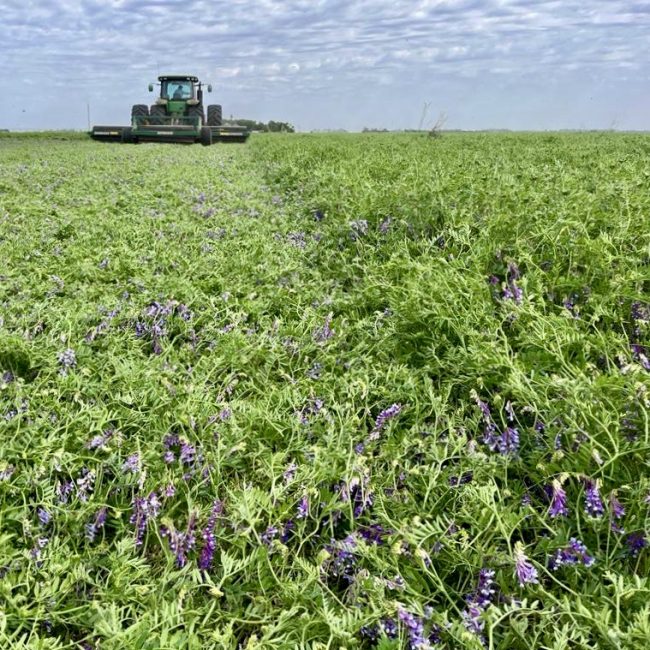 WhatsApp Image 2023-11-17 at 14.40.15 (2)(2)