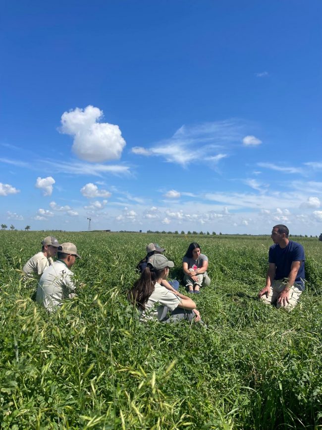 WhatsApp Image 2024-11-01 at 13.13.35 (7)