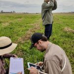 Pampas Case Study