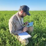 Pampas Case Study