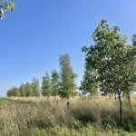 Para enfrentar el cambio climático, tenemos que transformar el sistema alimentario