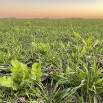 Para enfrentar el cambio climático, tenemos que transformar el sistema alimentario