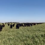 To Face Climate Change, We Must Transform the Food System